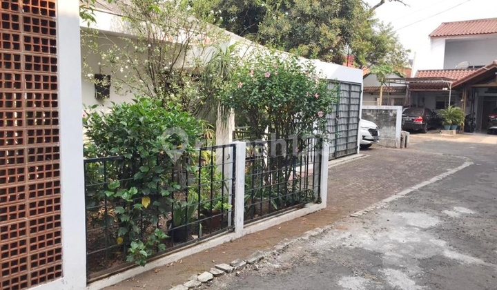 Bright, green, and peaceful house in Kebayoran Lama