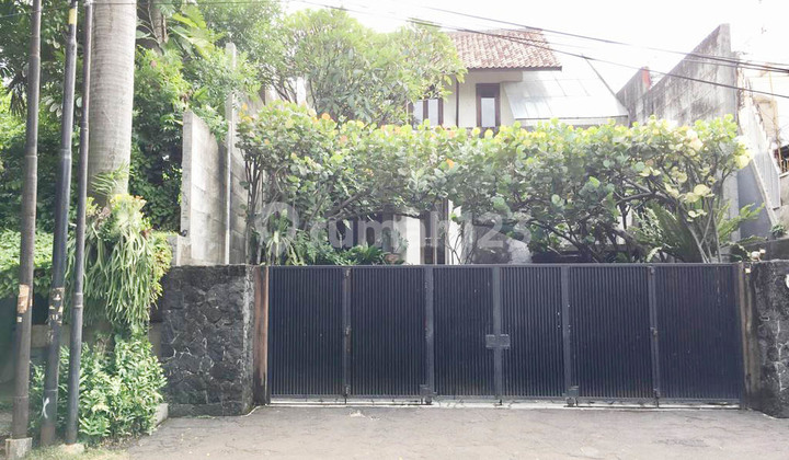 Emerald green house, high ceilings, lush and homey, South Jakarta.