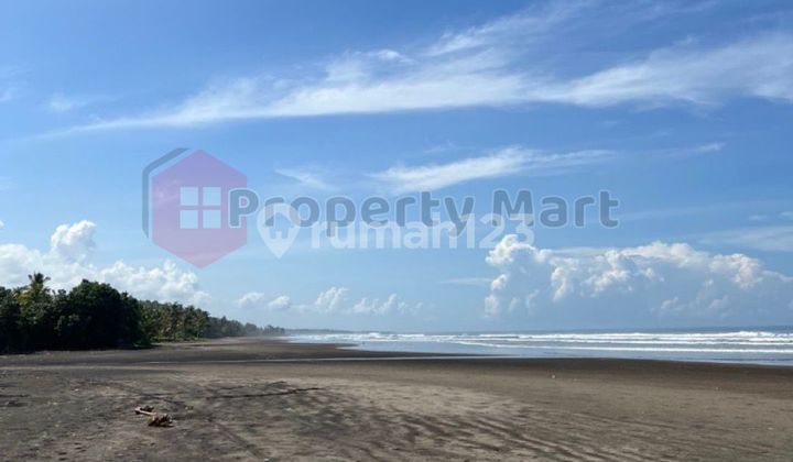 Tanah Datar Untuk Vila & Commercials Di Bali - Denpasar Gilimanuk Tanah Datar Untuk Vila & Commercials Di Bali - Denpasar Gilimanuk