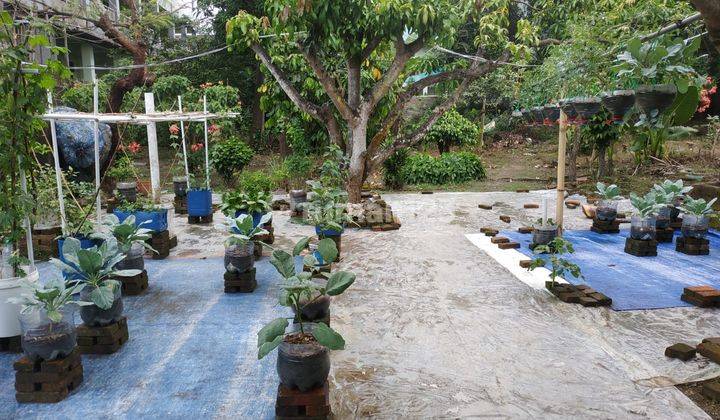 Dijual Rumah Kostan Hitung Tanah Di Watubelah sumber Cirebon 2