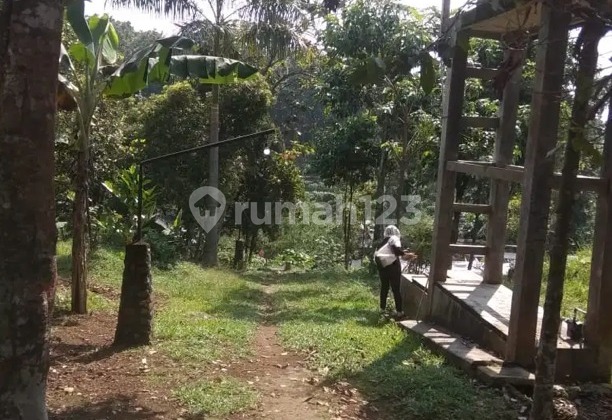 Dijual Tanah Cocok Untuk Villa Di Ciomas Nambo Bogor