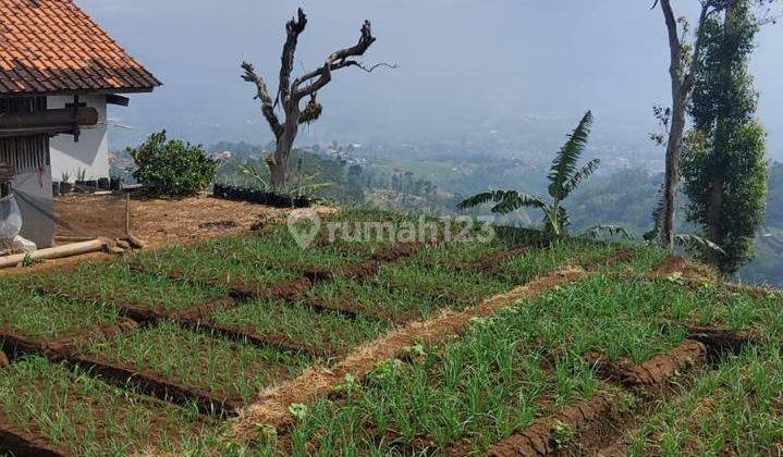 Dijual Sebidang Tanah Kosong Di Majalaya-Ibun 1