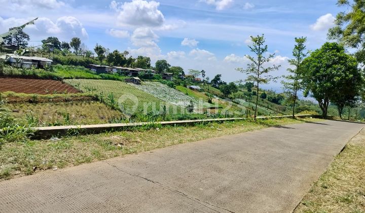 Dijual Murah Tanah Luas Lokasi Belakang Dago Resort - Cimenyan Dijual Murah Tanah Luas Lokasi Belakang Dago Resort - Cimenyan