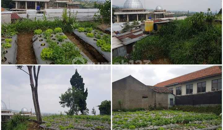 Dijual Tanah di Lembang bentuk kotak cocok untuk cafe dan minimarket Dijual Tanah di Lembang bentuk kotak cocok untuk cafe dan minimarket