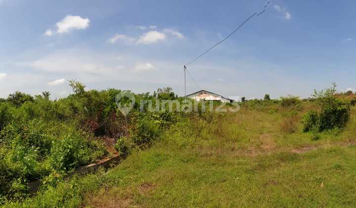 Tanah Pinggir Jalan Sangat Strategis di Tuban Surabaya  8