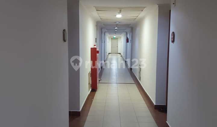 Apartemen Mediterania Gajah Mada, Tower B Luas 32 M2 Apartemen Mediterania Gajah Mada, Tower B Luas 32 M2