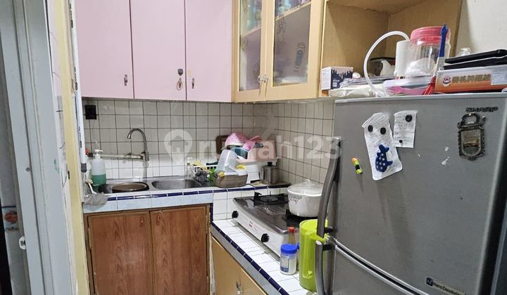 Rumah 2 Lantai Taman Palem Lestari, Luas 56 m2 2