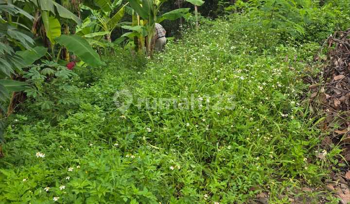 Dijual Tanah Luas Lokasi Strategis di Jl. Watulawang Semarang 2