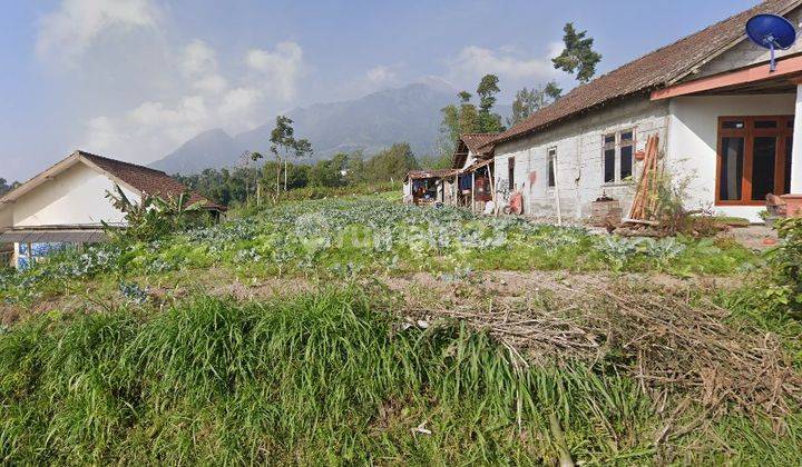 Dijual Tanah Luas Dengan View Gunung Merbabu 1