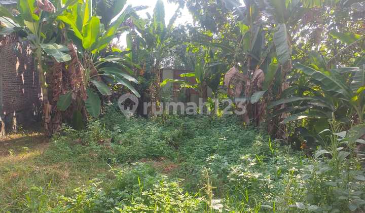 Dijual Tanah Lokasi Jl. Kp. Juwono Tembalang Semarang 2