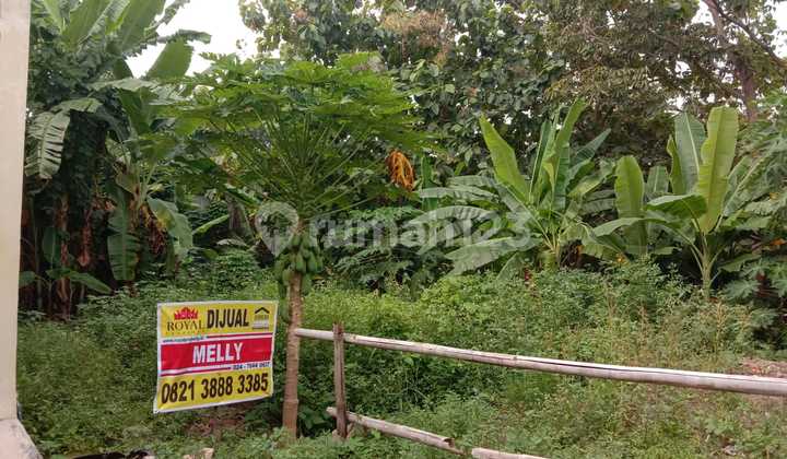 Dijual Tanah Lokasi Jl. Kp. Juwono Tembalang Semarang 1