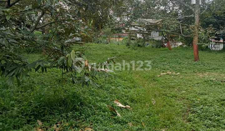 Land for Sale, Suitable for Industrial Development in Weleri, Kendal