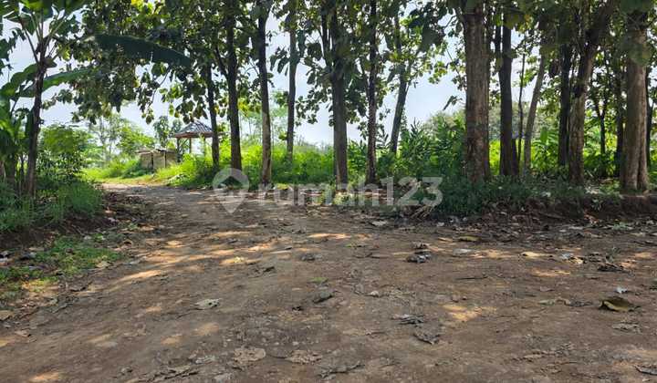 Dijual Tanah Lokasi Kedungpane Ngaliyan Semarang 2