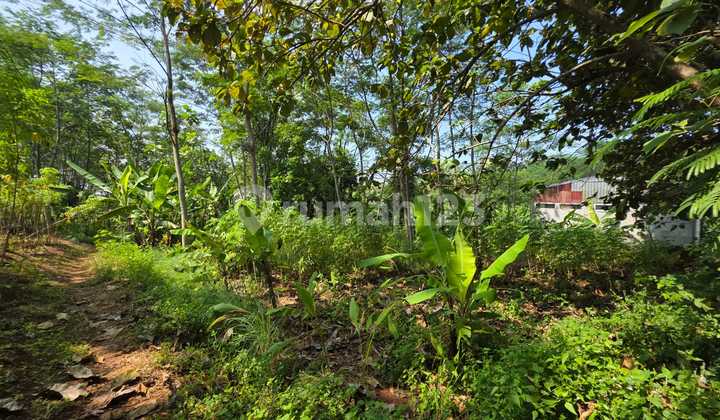 Dijual Tanah Lokasi Kedungpane Ngaliyan Semarang 1