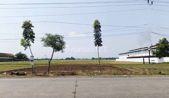 Dijual Tanah Luas Lokasi Tengah Kota Pati Jawa Tengah 1