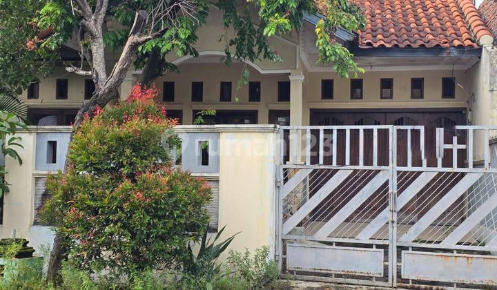 Dijual Rumah Lokasi Strategis di Jl. Singosari Semarang 1