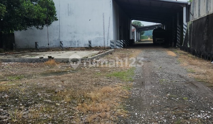 Warehouse for Sale, Land Area 8523 m² in Ngeluk Panjunan, Pati Warehouse for Sale, Land Area 8523 m² in Ngeluk Panjunan, Pati