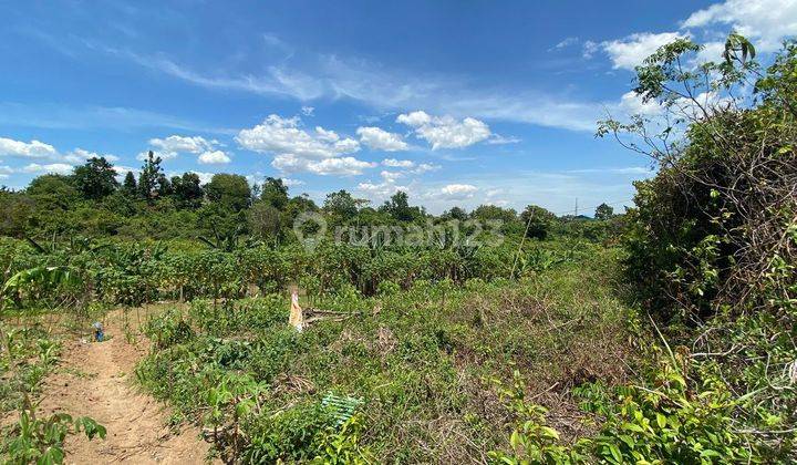 Lahan Tanah Cocok Untuk Perumahan Di Serang Banten 2