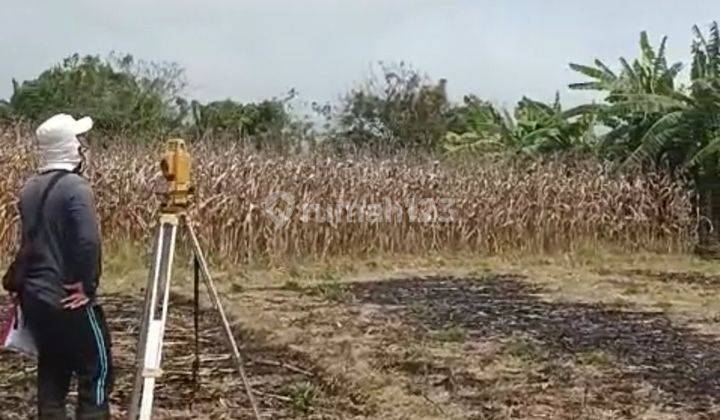 Tanah sudah aspek di Tabanan Bali 1