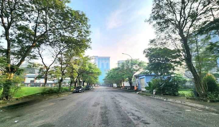 Commercial Lot Sunburst BSD Position Body