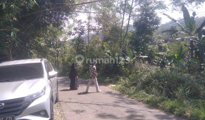 Tanah Di Sukabumi Jalan Bencoy Cireunghas 2