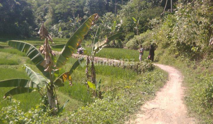 Tanah Di Sukabumi Jalan Bencoy Cireunghas 2