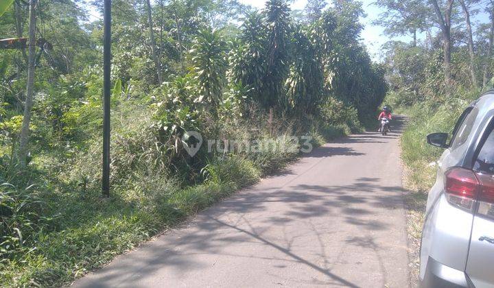 Tanah Di Sukabumi Jalan Bencoy Cireunghas 1