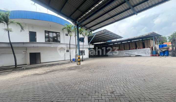 Jual Cepat Gudang Bagus Siap Pakai Raya Tambak Sawah Sidoarjo Jual Cepat Gudang Bagus Siap Pakai Raya Tambak Sawah Sidoarjo