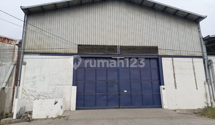 Dijual Gudang Siap Pakai Margomulyo Permai Surabaya Dijual Gudang Siap Pakai Margomulyo Permai Surabaya