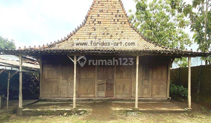 Rumah Joglo Demak Bintoro, Soko 22 Ori Kuno Big Size Full Gebyok 1