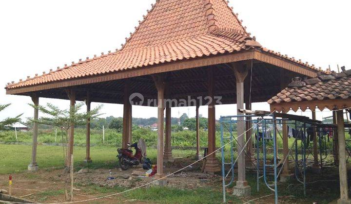 Pendopo Joglo Antik, Soko 20 Usuk Pecok Tumpangsari Ukir 4 Plong 2