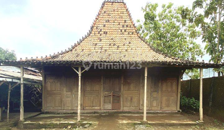 Rumah Joglo Demak Bintoro, Soko 22 Ori Kuno Big Size Full Gebyok 1