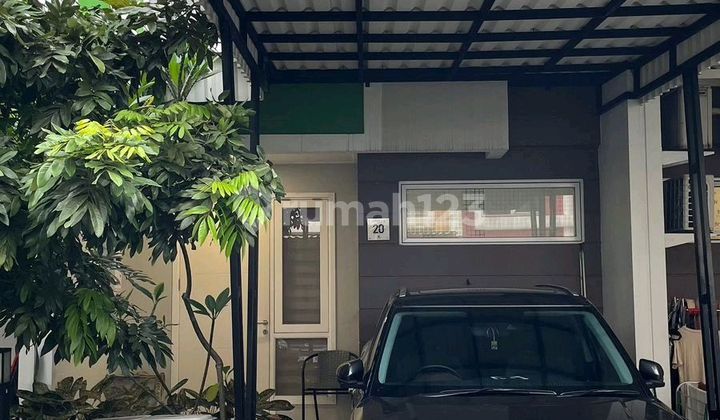 C. Martinez Gading Serpong Renov Semi Furnish Bagus Butuh Cepat C. Martinez Gading Serpong Renov Semi Furnish Bagus Butuh Cepat