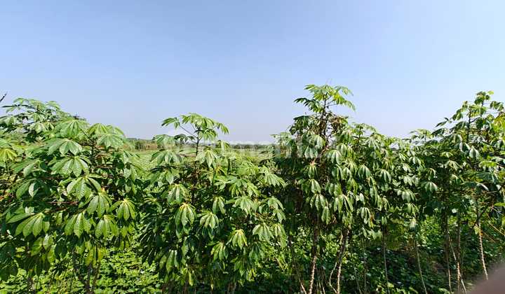 Jual Tanah Wedoro Anom Menganti Gresik 2
