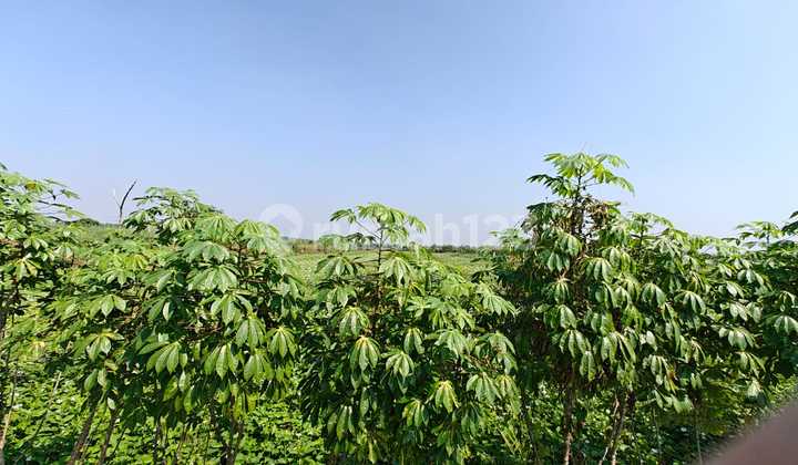 Jual Tanah Wedoro Anom Menganti Gresik 1