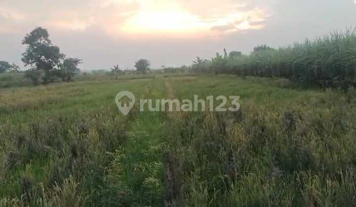Jual Tanah Di Wedoro Anom Jalan Pahlawan Mubin Wonokoyo Menganti Gresik