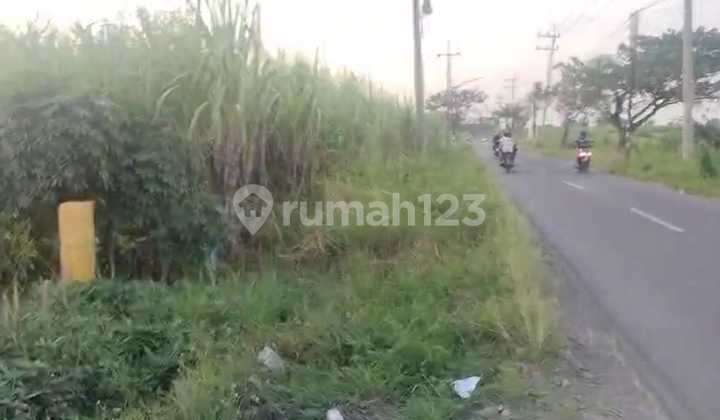 Jual Tanah Di Wedoro Anom Jalan Pahlawan Mubin Wonokoyo Menganti Gresik