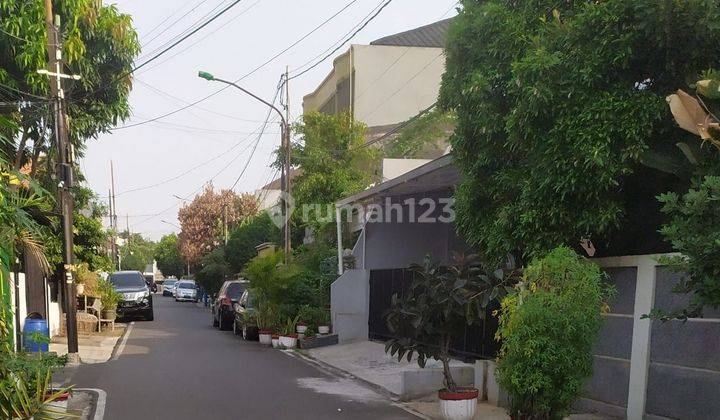 Rumah tua hitung tanah one get system akses jalan lebar di kampung Ambon kayu putih 2