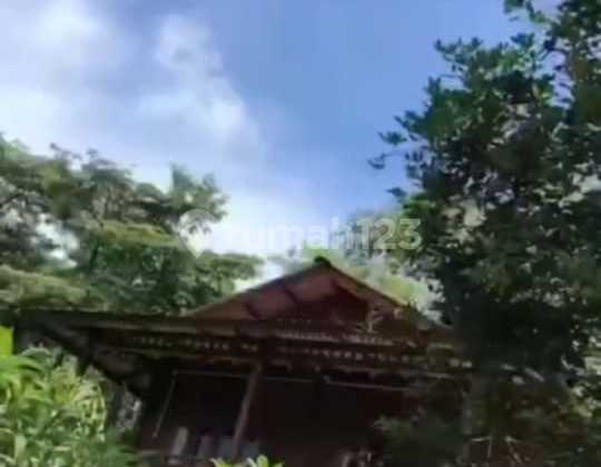 Jual Cepat dan Butuh Uang Tanah di Jonggol Bogor Luas 11 Hektar