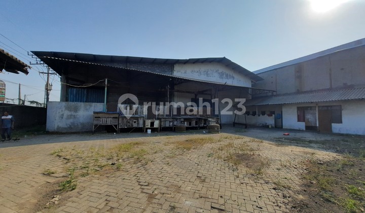 Gudang di Raya Cangkir Driyorejo, Gresik 600 m Bagus SHM Gudang di Raya Cangkir Driyorejo, Gresik 600 m Bagus SHM