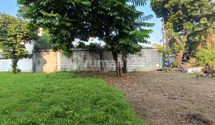 Flood-free land has been elevated in Pulomas. 2