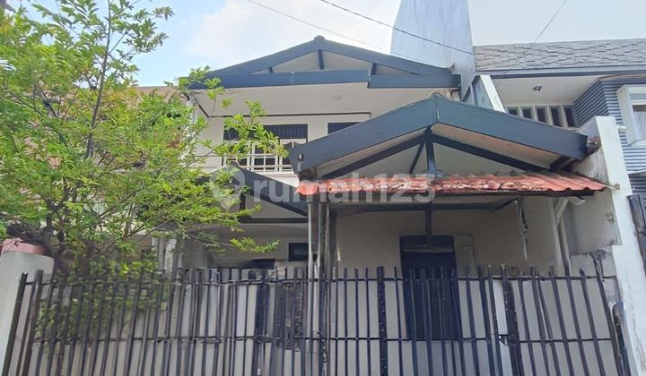 Standard house green coconut frond ivory pandawa