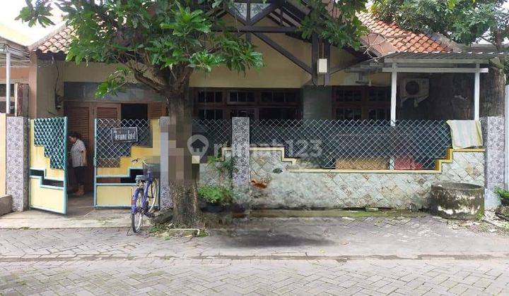 Jual Rugi Rumah Kos Dukuh Kupang Sekitar Kampus Wijaya Kusuma 1