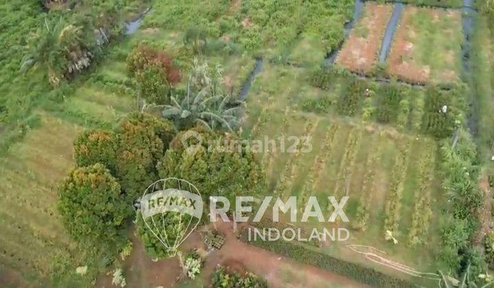 Dijual Cepat Tanah Di Meruya Selatan Jakarta Barat 1