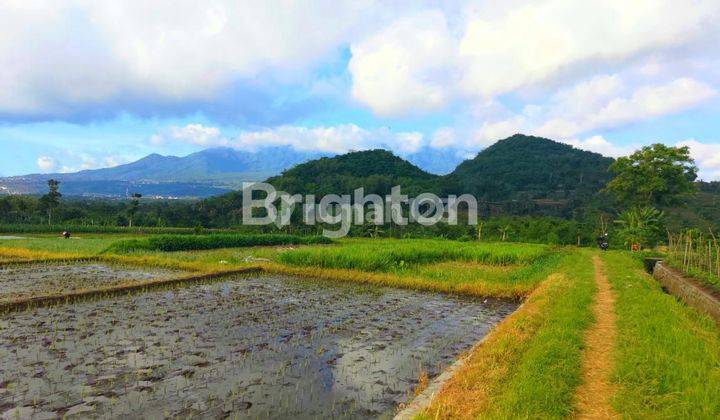 Tanah Siap Bangun dekat JatimPark 3 1