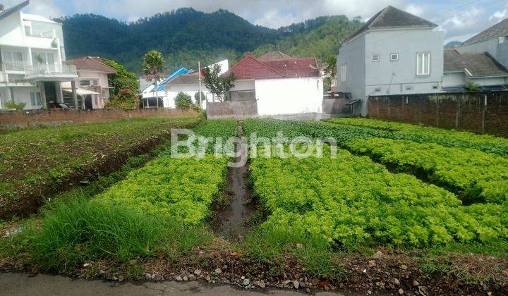 Tanah Murah Harga Di Bawah Njop Belakang Among Tani  1