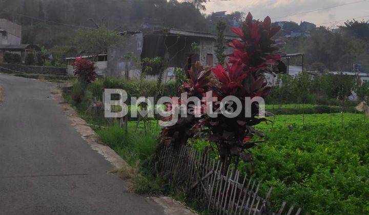 Tanah View Gunung kawasan Villa 2