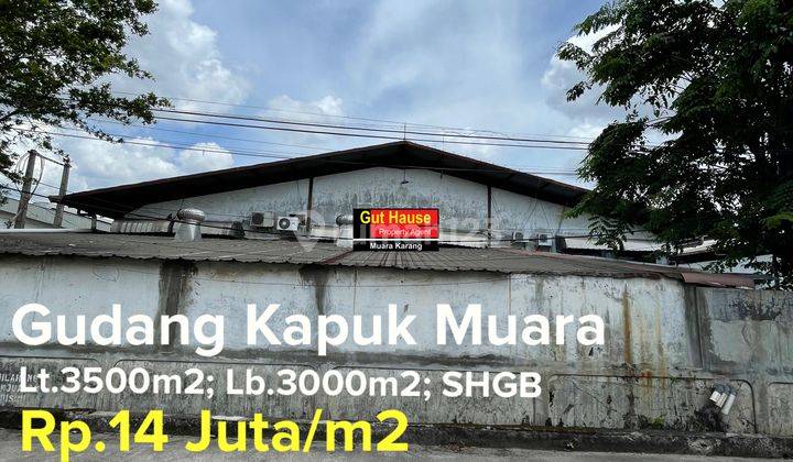  Gudang di Jalan Kapuk Muara, Kapuk Muara HGB - Hak Guna Bangun 1