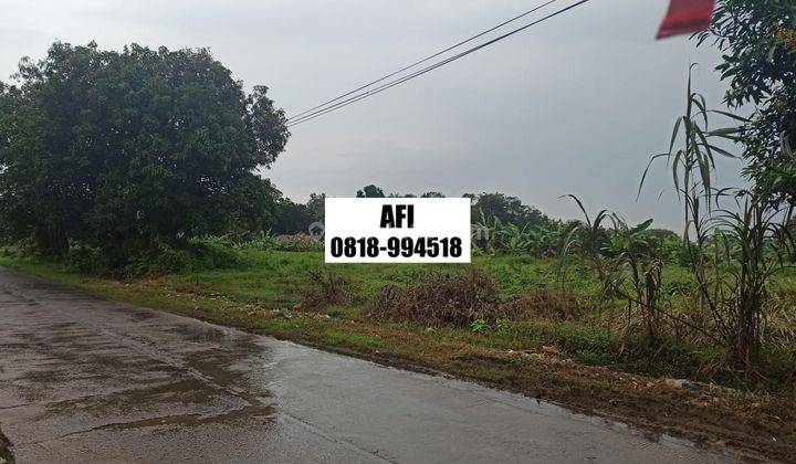  Tanah di Jalan Raya Kadawung Cipeundeuy Subang, Cipeundeuy 1