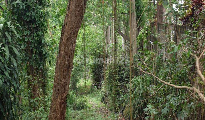  Tanah di Jalan Rancamaya Bogor, Ciawi SHM - Sertifikat Hak Milik 1